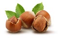 Hazelnuts and leafs on white background Royalty Free Stock Photo