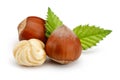 Hazelnuts and leafs on white background Royalty Free Stock Photo