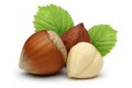 Hazelnuts and leafs on white background Royalty Free Stock Photo