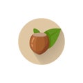 hazelnuts with leaves flat icon with long shadow