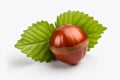 Hazelnuts with leaves isolated on white background, clipping path included Royalty Free Stock Photo