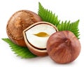 Hazelnuts with leaves isolated on white background Royalty Free Stock Photo