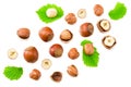 hazelnuts with leaves isolated on white background. top view Royalty Free Stock Photo