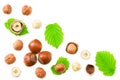 hazelnuts with leaves isolated on white background. top view Royalty Free Stock Photo