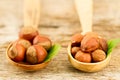 hazelnuts with leaves on old wooden background. Royalty Free Stock Photo