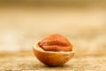 Hazelnuts with leaves on old wooden background. Royalty Free Stock Photo