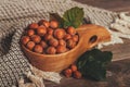 Hazelnuts with leaves in wooden bowl Royalty Free Stock Photo