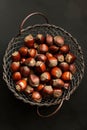 Hazelnuts in metal wire basket. Fresh hazelnuts close-up on a dark background