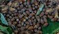 Hazelnuts next to dried flakes and green leaves.