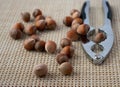 Hazelnuts and nutcracker Royalty Free Stock Photo