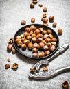 Hazelnuts and a Nutcracker in the old pan. Royalty Free Stock Photo