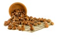 Hazelnuts nuts of Turkish hazel. The concept of hazelnut nuts as Royalty Free Stock Photo