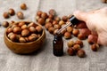 Hazelnuts, oil for the use of nuts in cosmetics, nutritious elements. Royalty Free Stock Photo