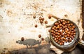The hazelnuts in an old pan. Royalty Free Stock Photo