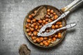The hazelnuts in an old pan. Royalty Free Stock Photo