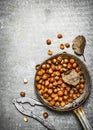 The hazelnuts in an old pan. Royalty Free Stock Photo