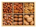 Hazelnuts, Pecans and walnuts, shelled and in their shells, in wooden box Royalty Free Stock Photo