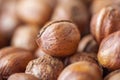 Hazelnuts. Peeled Raw Hazelnuts. Fresh organic Nuts. Raw nuts Royalty Free Stock Photo