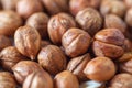 Hazelnuts. Peeled Raw Hazelnuts. Fresh organic Nuts. Raw nuts Royalty Free Stock Photo