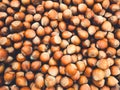 Hazelnuts, pile of nuts, hazelnut background