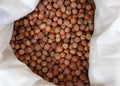Hazelnuts. Raw Hazelnuts with shells. Nuts. Fresh organic Raw nuts. Hazelnuts texture and background Royalty Free Stock Photo