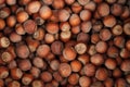 Hazelnuts. Raw Hazelnuts with shells. Nuts. Fresh organic Raw nuts. Hazelnuts texture and background Royalty Free Stock Photo