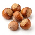 Hazelnuts Realistic Nuts Royalty Free Stock Photo