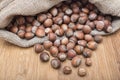 A pile of Shelled hazelnuts in a sack. Healthy food dried nuts. close-up