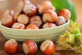 Hazelnuts in a round green bowl with green leaves close-up on a wooden table. Farmed ripe hazelnuts. Nut abundance