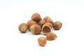 Hazelnuts in a shell, cracked shell and hazelnut`s kernel