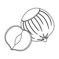Hazelnuts in shell.Different kinds of nuts single icon in outline style vector symbol stock illustration. Royalty Free Stock Photo