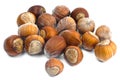 Hazelnuts in the shell Royalty Free Stock Photo