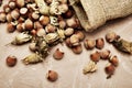 Hazelnuts spilled on the table from a canvas bag close-up