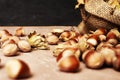 hazelnuts spilled on the table from a canvas bag close-up