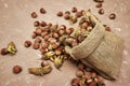 hazelnuts spilled on the table from a canvas bag close-up