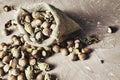 hazelnuts spilled on the table from a canvas bag close-up