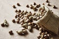 hazelnuts spilled on the table from a canvas bag close-up