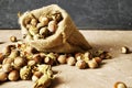 Hazelnuts spilled on the table from a canvas bag close-up