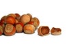 Hazelnuts and splintered nuts isolated Royalty Free Stock Photo