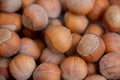 Food background. Hazelnuts texture. Top view . Hazelnut Nut Health Organic Brown Filbert Autumn Background Concept