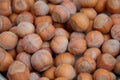 Food background. Hazelnuts texture. Top view . Hazelnut Nut Health Organic Brown Filbert Autumn Background Concept