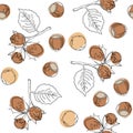 Hazelnuts vector seamless pattern. Good for ads, signboards, packaging, menu design, interior decorating and other design.