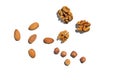 Hazelnuts, walnuts, almonds. on white background.