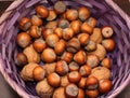 Hazelnuts and walnuts in the beautiful lilac basket Royalty Free Stock Photo