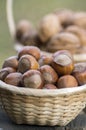 Hazelnuts and walnuts in hard shells, two piles in two small wicker baskets on wooden stump Royalty Free Stock Photo