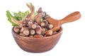 Hazelnuts on white Royalty Free Stock Photo