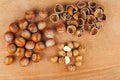 Hazelnuts: whole and shelled