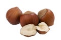 Hazelnuts, whole and unshelled
