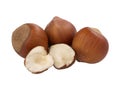 Hazelnuts, whole and unshelled