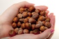 Hazelnuts in women's hands Royalty Free Stock Photo